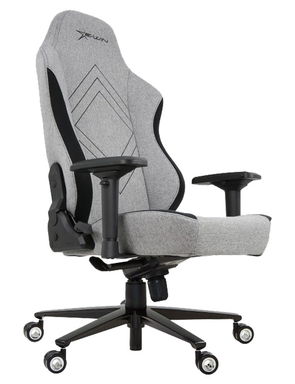 EWin Champion Series Ergonomic Computer Gaming Office Chair with Pillows - CPG