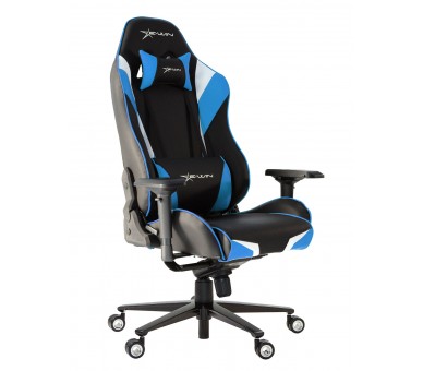 EWin Champion Series Ergonomic Computer Gaming Office Chair with Pillows - CPD