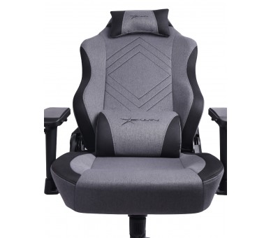 EWin Champion Series Ergonomic Computer Gaming Office Chair with Pillows - CPG