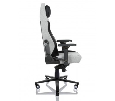 EWin Champion Series Ergonomic Computer Gaming Office Chair with Pillows - CPG